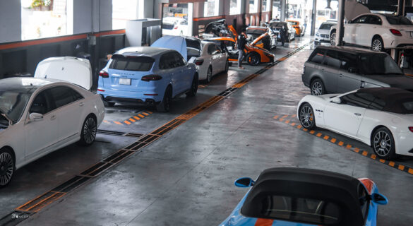 Carspa Wallpaper